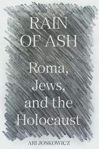 Book Cover for Rain of Ash by Ari Joskowicz