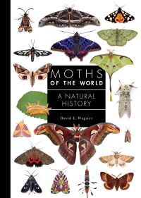 Book Cover for Moths of the World by David L Wagner