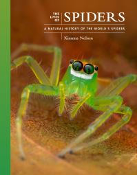 Book Cover for The Lives of Spiders by Ximena Nelson