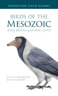 Book Cover for Birds of the Mesozoic by Juan Benito, Roc Olivé