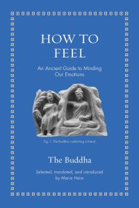 Book Cover for How to Feel by The Buddha