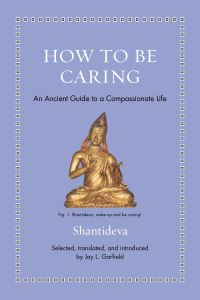 Book Cover for How to Be Caring by Shantideva, Jay L Garfield