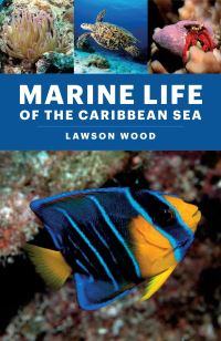 Book Cover for Marine Life of the Caribbean Sea by Lawson Wood