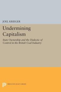 Book Cover for Undermining Capitalism by Joel Krieger
