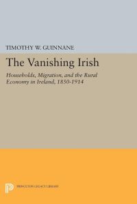 Book Cover for The Vanishing Irish by Timothy W Guinnane