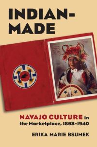 Book Cover for Indian-Made by Erika Marie Bsumek