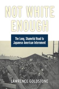 Book Cover for Not White Enough by Lawrence Goldstone