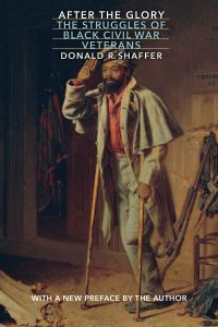 Book Cover for After the Glory by Donald R Shaffer