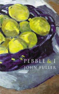 Book Cover for Pebble & I by John Fuller