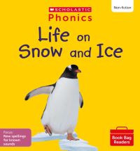 Book Cover for Phonics Book Bag Readers. Set 11 by Ann Hill