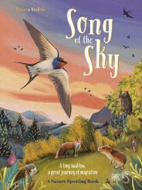 Book Cover for Song of the Sky by Chiara Fedele