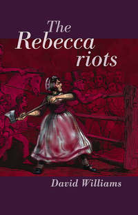 Book Cover for The Rebecca Riots by David Williams