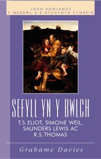 Book Cover for Sefyll Yn Y Bwlch by Grahame Davies