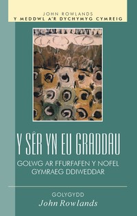 Book Cover for Y Sêr Yn Eu Graddau by John Rowlands