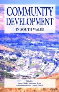 Book Cover for Community Development in South Wales by Steve Clarke