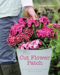 Book Cover for The Cut Flower Patch by Louise Curley