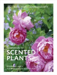 Book Cover for Royal Horticultural Society Companion to Scented Plants by Stephen Lacey, Royal Horticultural Society Great Britain