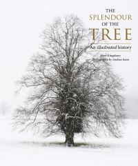 Book Cover for The Splendour of the Tree by Noël Kingsbury