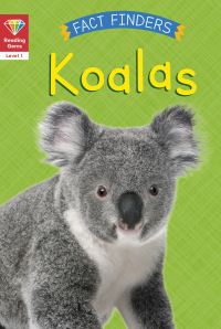 Book Cover for Koalas by Katie Woolley
