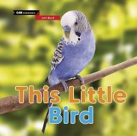 Book Cover for This Little Bird by Sasha Morton
