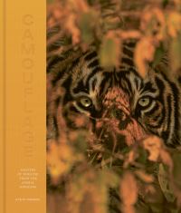 Book Cover for Camouflage by Steve Parker