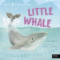 Book Cover for Little Whale by Anna Brett