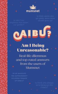 Book Cover for Am I Being Unreasonable? by mumsnetcom