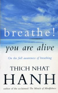 Book Cover for Breathe! You Are Alive by Nha¦Ôét Hanh