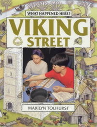 Book Cover for Viking Street by Marilyn Tolhurst, Maggie Murray, Gillian Clements