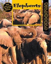 Book Cover for Elephants by Karen Dudley