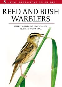 Book Cover for Reed and Bush Warblers by Peter Kennerley, David J Pearson, Brian E Small