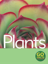 Book Cover for Plants by Paul McEvoy