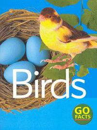 Book Cover for Birds by Paul McEvoy