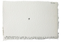 Book Cover for Nedko Solakov; 99 Fears Collector's Edition by Nedko Solakov