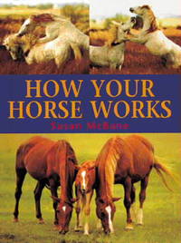 Book Cover for How Your Horse Works by Susan McBane