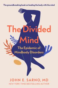 Book Cover for The Divided Mind by John E Sarno
