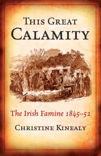Book Cover for This Great Calamity by Christine Kinealy