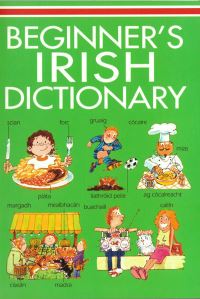 Book Cover for Beginner's Irish Dictionary by Helen Davies