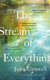 Book Cover for The Stream of Everything by John Connell