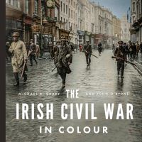 Book Cover for The Irish Civil War in Colour by Michael B Barry