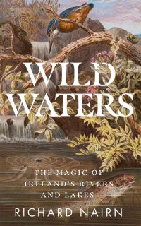 Book Cover for Wild Waters by Richard Nairn