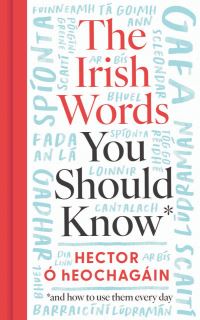 Book Cover for The Irish Words You Should Know and How to Start Using Them Again by Hector Ó hEochagáin