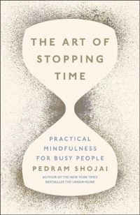 Book Cover for The Art of Stopping Time by Pedram Shojai