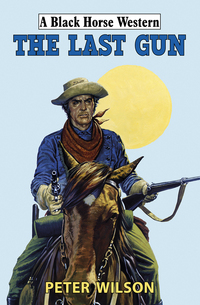 Book Cover for The Last Gun by Peter Wilson