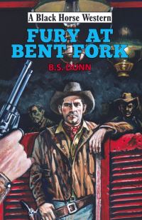 Book Cover for Fury at Bent Fork by B S Dunn
