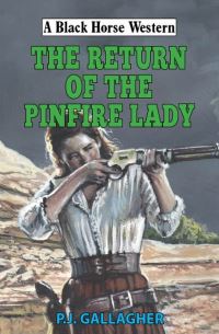 Book Cover for The Return of the Pinfire Lady by P J Gallagher