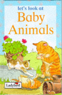 Book Cover for Baby Animals by Karen BryantMole, Stuart Trotter