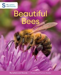 Book Cover for Beautiful Bees by Hawys Morgan