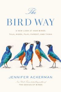 Book Cover for The Bird Way by Jennifer Ackerman