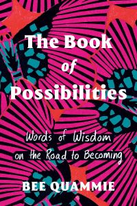 Book Cover for The Book of Possibilities by Bee Quammie